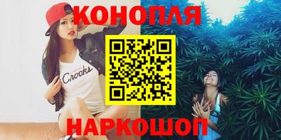 стаф Гатчина