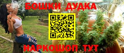 стаф Гатчина