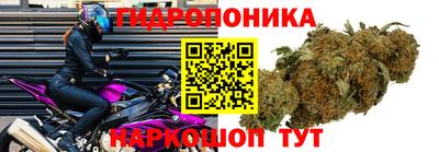 хмурый Гай