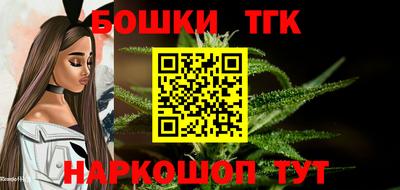 стаф Гатчина