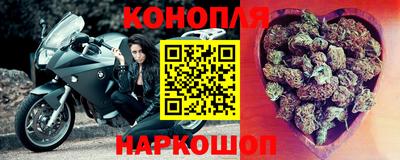 стаф Гатчина