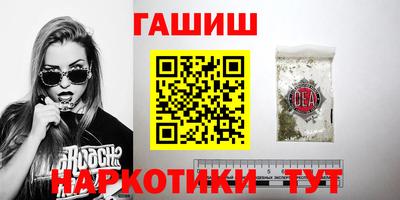 стаф Гатчина