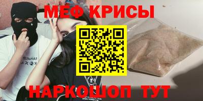 стаф Гатчина