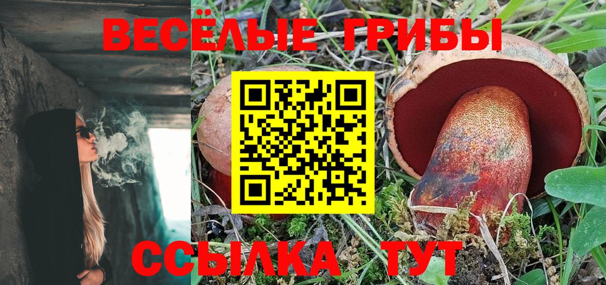 Псилоцибиновые грибы GOLDEN TEACHER  купить наркотик  Омск  Вход с VPN 